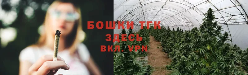 Конопля VHQ  Струнино 